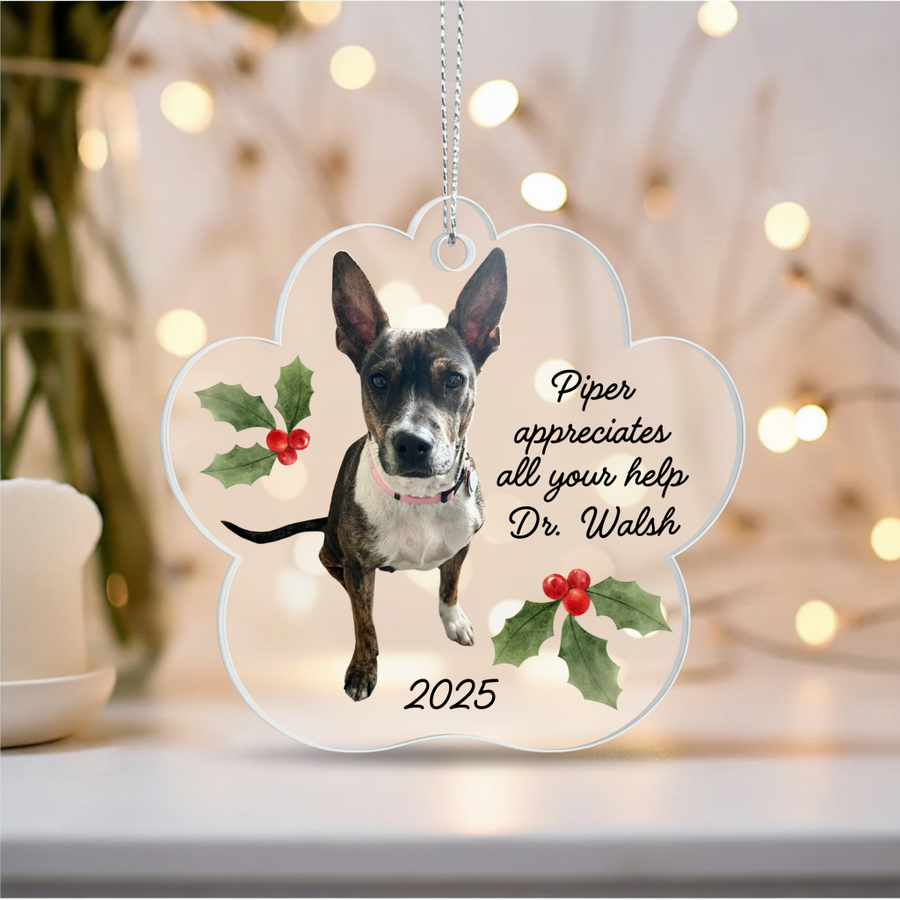 Personalized Veterinarian Ornament